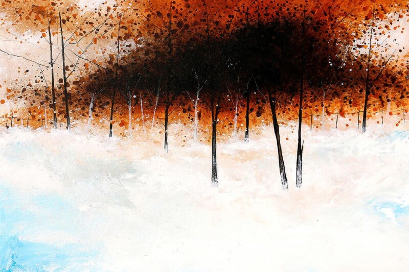 Image of Winterlands by Stuart Roy